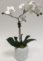 20" Faux White Artificial Orchid in Ribbed Pot