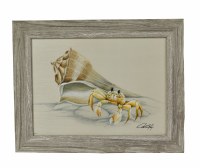 15" x 19" Ghost Crab Gel Framed Print