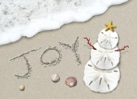 Box of 18 5" x 7" Joy in the Sand Holiday Greeting Cards