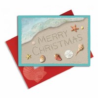 5" x 7" Box of 16 Merry Christmas Shells Christmas Greeting Cards