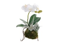11" White Faux Orchid and Succulent Drop in Plant