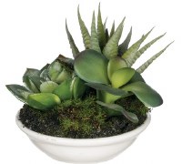 4" Assorted Faux Aloe Succulent in White Ceramic Pot