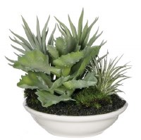 4" Assorted Faux Tillandsia in White Ceramic Pot