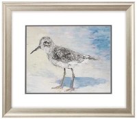 19" x 22" Sandpiper 2 Framed Print Under Glass