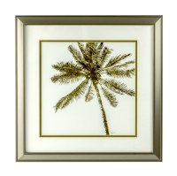 18" Square 1 Gold Palm Tree in Gold Frame Under Glass