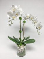 24" Faux Two White Orchids with Starfish in Glass Vase