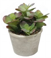 8" Faux Green and Burgundy Echeveria in Gray Pot