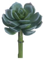 5" Faux Green and Gray Echeveria