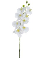 41" Faux White Phalaenopsis Spray