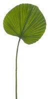 25" Faux Green Fan Palm Leaf Spray