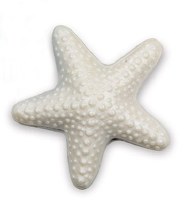 3" White Starfish Soap