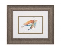 11" x 13" Colorful Sea Turtle with Orange Shell Framed Under Glass