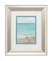 13" x 11" Five Sandpipers on Beach Framed Under Glass