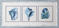 21" x 47" Three Blue Shell Icons Framed Under Glass