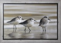 40" x 62" Three Sandpipers Textured Gel Framed