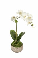 23" Faux White Orchid in Mercury Glass Bowl