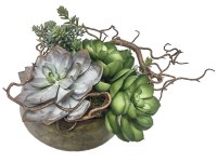14" Faux Succulents and Curly Willow in Sosa Bowl