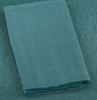 20" Square Teal Cotton Elements Napkin