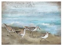 18" x 24" Sandpipers on Beach Wall Plaque
