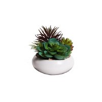 5" Blue, Green, Burgundy Faux Succulents in White Pot