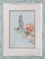 25" x 21" Sea Turtle Coastal Print 1 in an Aqua Frame Under Glass