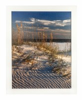 32" x 26" Beach Sea Oats 1 Framed Gel Textured Coastal Print Framed