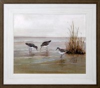 23" x 27" Three Sandpipers on Shore Gel Framed Print