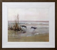 23" x 27" Two Sandpipers on Shore Gel Framed Print
