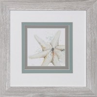 15" Square Starfish Framed Print Under Glass