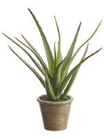 11" Faux Green Potted Agave