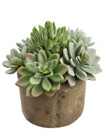 6" Faux Green and Gray Succulents in a Cement Pot