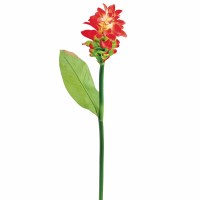 35" Faux Two Tone Red Ginger Flower Spray