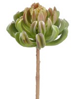 14" Faux Green Aeonium Spray