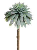 5" Faux Gray and Green Mini Echeveria