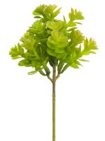 7" Faux Green Sedum