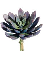 8" Faux Lavender and Green Echeveria