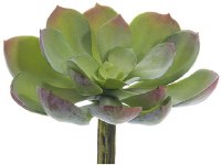 5" Faux Green and Gray Echeveria