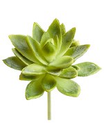 5" Faux Two-Tone Green Mini Agave