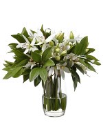 15" Faux White and Green Cymbidium/Shikiba In Glass Vase