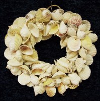 14" White Pecten and Shells Wreath