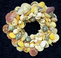 11" Multicolor Pecten and Shells Wreath