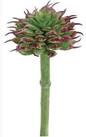 5" Faux Burgundy and Green Spiny Succulent