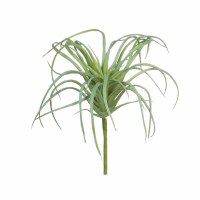 5" Faux Green Tillandsia