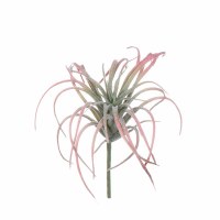 5" Faux Pink Tillandsia