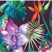 5" Square Tropical Floral Beverage Napkins