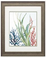 22" x 19" Ocean Garden With Blue and Red Corals Framed Print Under Glass