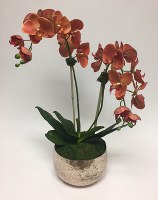 26" Faux Coral Orchids in Distressed Silver Finish Glass Bowl