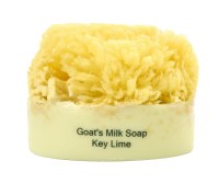 Key Lime Soap With a Sponge