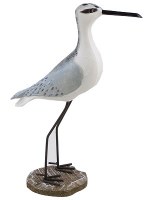 14" White and Gray Seabird