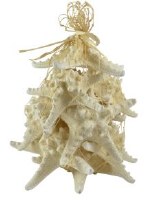 Net Bag of 12 White Knobby Starfish